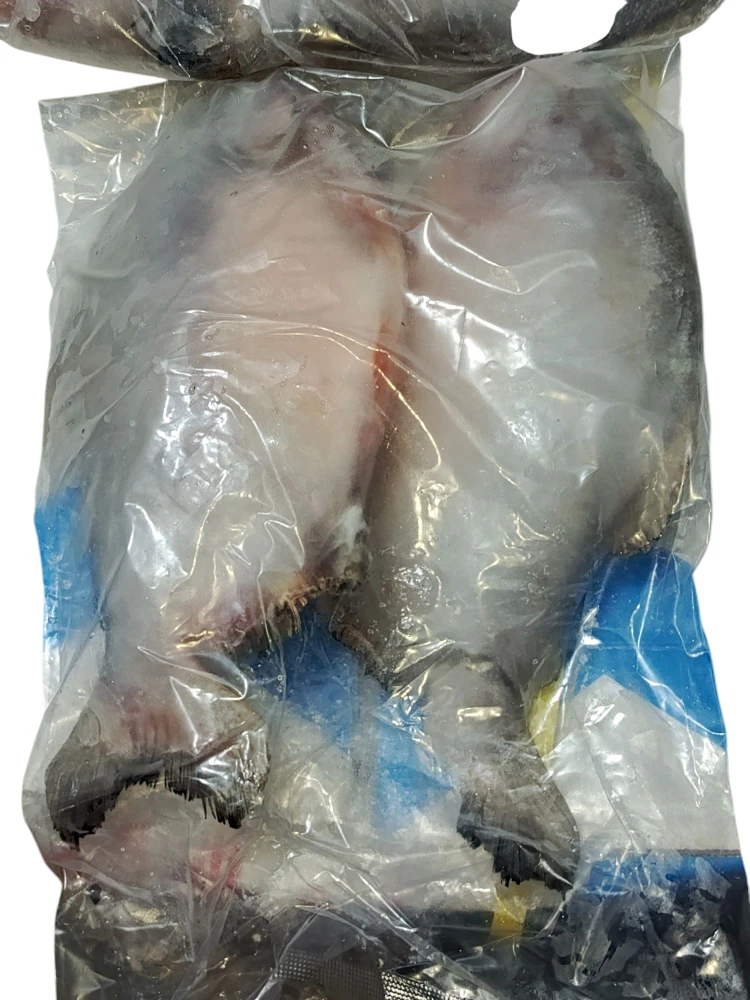 سمك زبيدي نهري 
× 9 كغم 